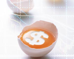 个人理财中“不要把鸡蛋放一个篮子”对吗？