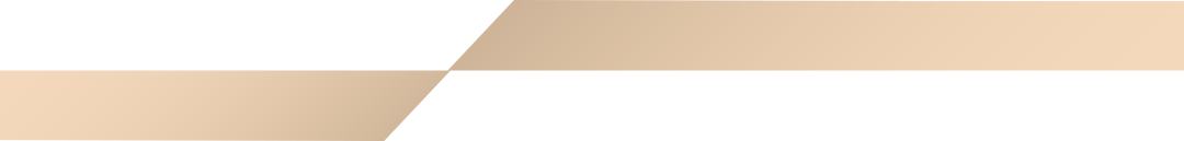 浙商银行：机制创新 技术赋能 生态共建 先锋示范