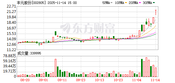 丰元股份：股票交易异常波动
