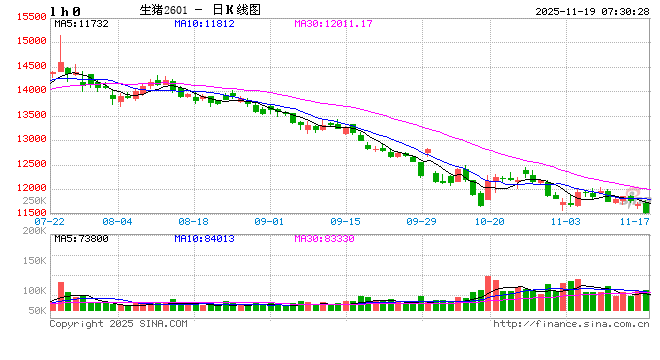 玉米期现共振走强 未来盘面运行趋势如何？