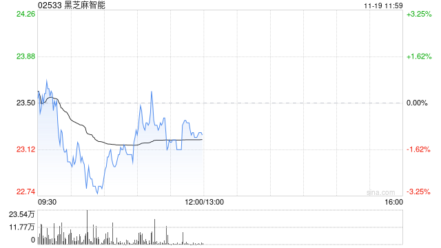 黑芝麻智能与智驰致远订立战略合作协议