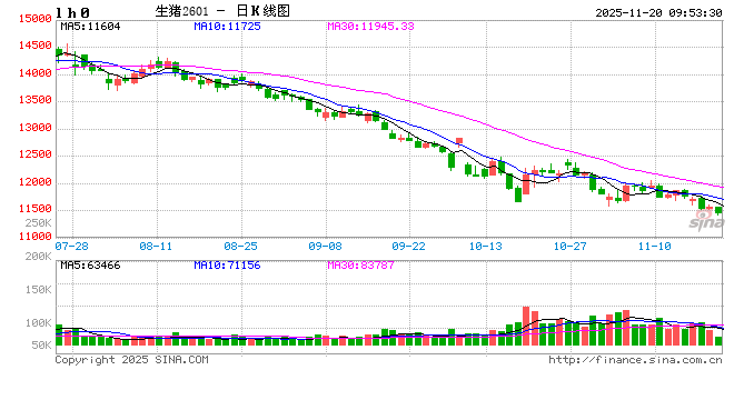 【市场聚焦】生猪：2025年Q3财务数据解读