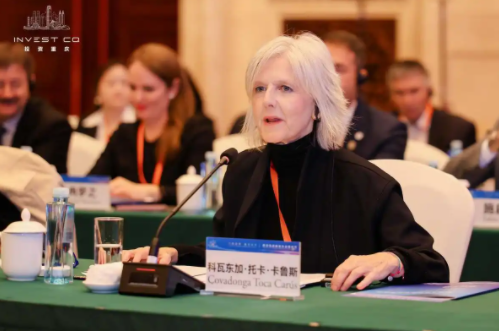 欧洲先进制造企业重庆行，中欧制造合作推动产业链深度融合