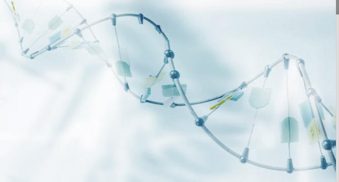 汽车生物识别技术如何保障安全性？