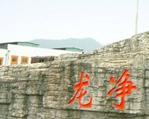 汽车环保排放标准对使用有影响吗？