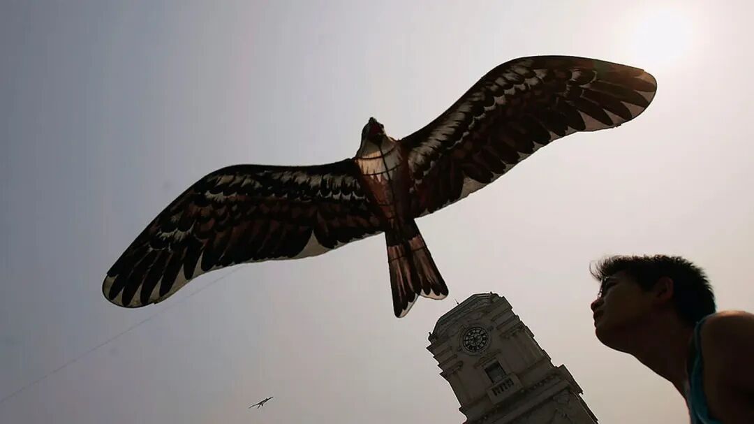 2026年宏观经济和金融市场展望：忙趁东风放纸鸢