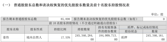 002424实控人，被证监会立案