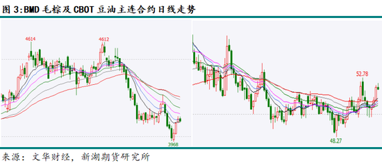 新湖农产（油脂）12月报：暂时反弹， 趋势走强仍需等待