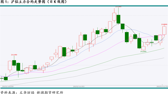 新湖有色（铝）12月报：铝价高位波动，氧化铝重心下移